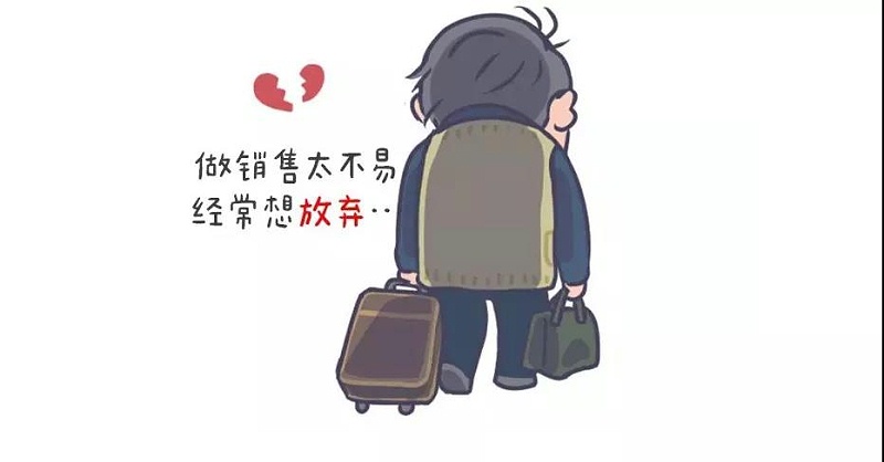 白电油苏大强